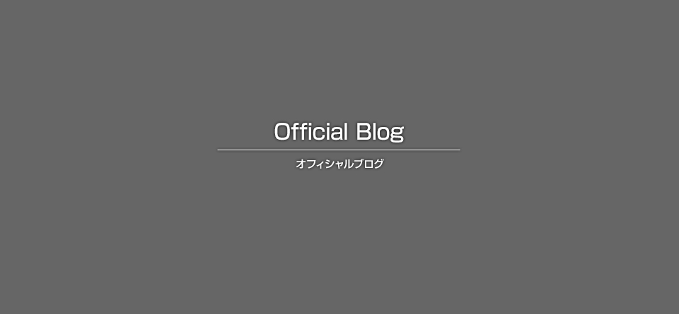 実績